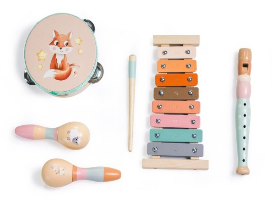 Slika Set glazbenih instrumenata za djecu – životinje