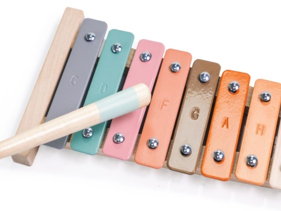 Slika Set glazbenih instrumenata za djecu – životinje