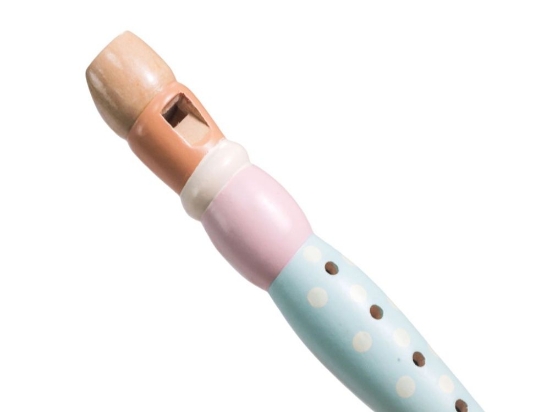 Slika Set glazbenih instrumenata za djecu – životinje