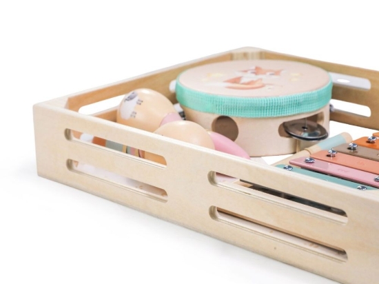 Slika Set glazbenih instrumenata za djecu – životinje