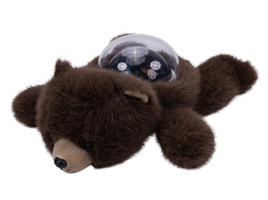 Slika Plišani medvjedić s projektorom uspavanki