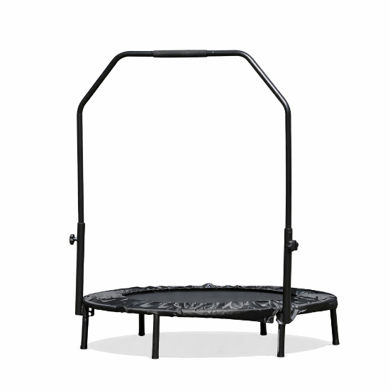 Slika Trampolin Fit 94 cm - Crni