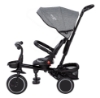 Slika Tricikl Elipso crno-sivi 81590 FREE 2 MOVE 