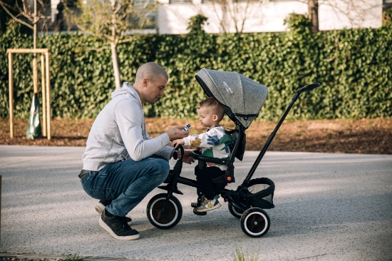 Slika Tricikl Elipso crno-sivi 81590 FREE 2 MOVE 