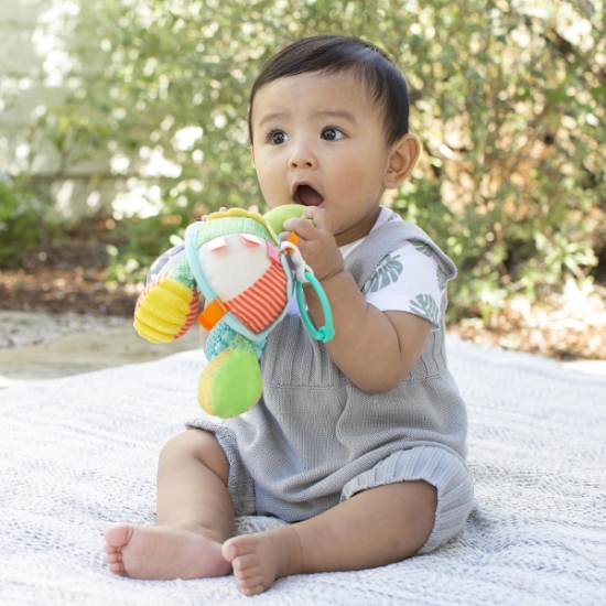 Slika Igračka grickalica - Kornjača Infantino 