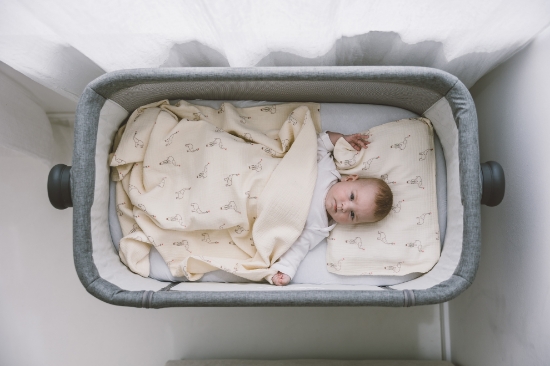 Slika Posteljina za kolijevku/košaru slonići 87141 BUBABA BY FREEON 