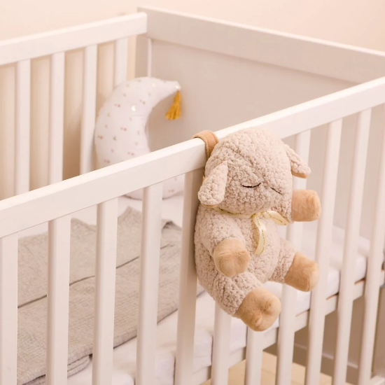 Slika Ovca sa umirujućim zvukovima - Cloud B