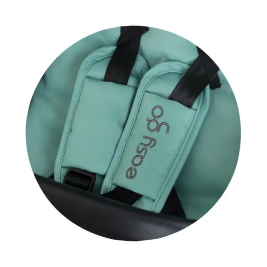 Slika Kolica Easy Go Aloe Chipolino 