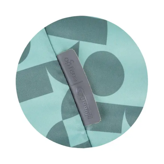 Slika Kolica Easy Go Aloe Chipolino 