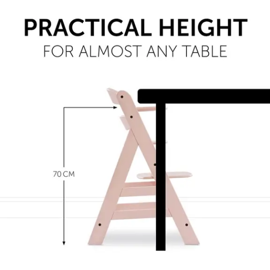 Slika Hranilica Alpha + rose - Hauck