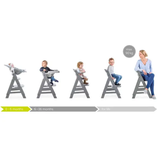 Slika Hranilica Alpha + rose - Hauck