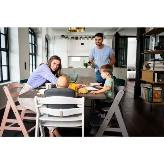 Slika Hranilica Alpha + rose - Hauck