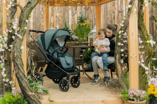 Slika Kolica Move Cross Antique Green/Gold Zopa 