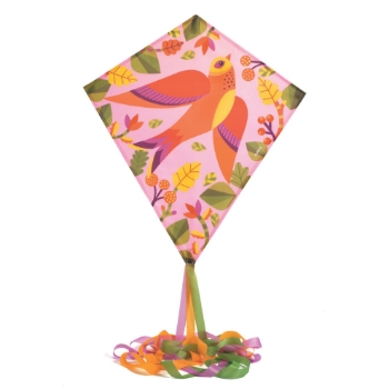 Slika Leteći zmaj - Ptica