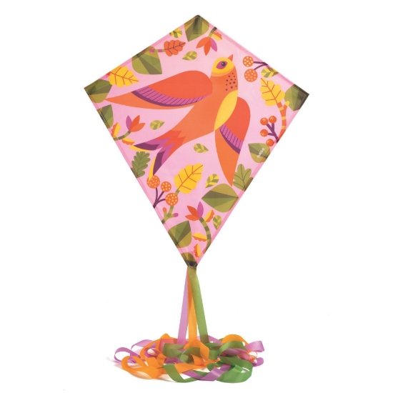 Slika Leteći zmaj - Ptica