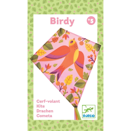 Slika Leteći zmaj - Ptica