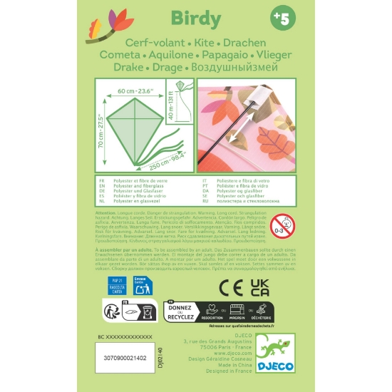 Slika Leteći zmaj - Ptica