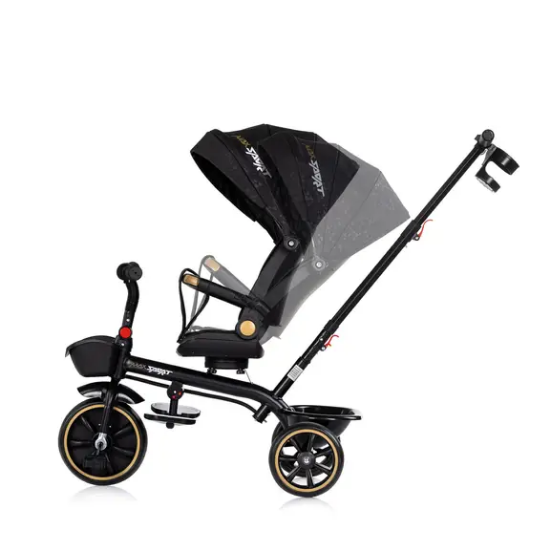 Slika Tricikl Max Sport Noir - Chipolino