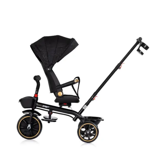 Slika Tricikl Max Sport Noir - Chipolino