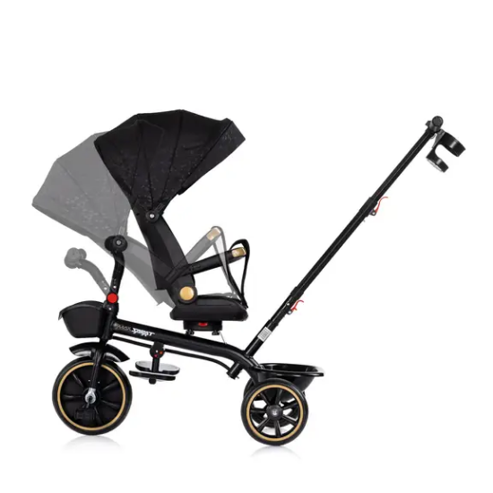 Slika Tricikl Max Sport Noir - Chipolino