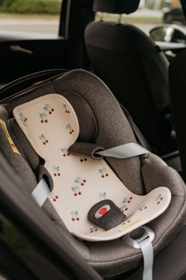 Slika Zračna Podloga za autosjedalicu grupa 0, Cherries AeroMoov 