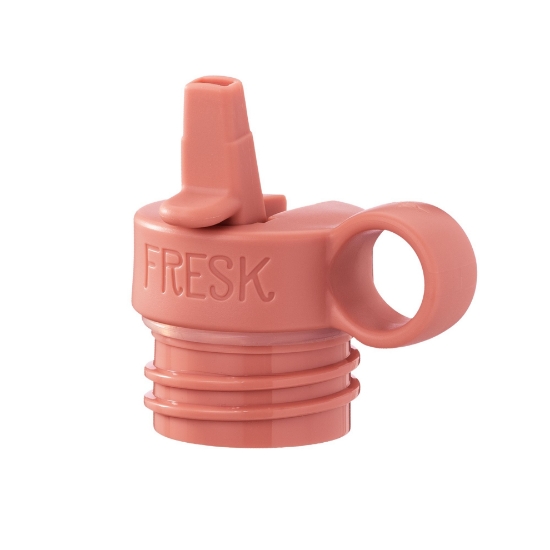 Slika Termo boca - Leptirić (500 ml) Fresk 