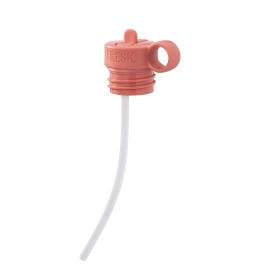 Slika Termo boca - Leptirić (500 ml) Fresk 