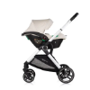 Slika Dječja kolica Euphoria 3u1 Cashmere - Chipolino