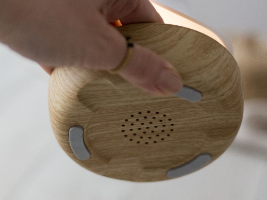 Slika Lampica ptica s ugrađenim zvučnikom