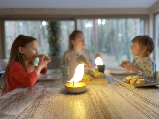 Slika Lampica ptica s ugrađenim zvučnikom