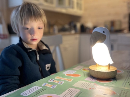 Slika Lampica ptica s ugrađenim zvučnikom