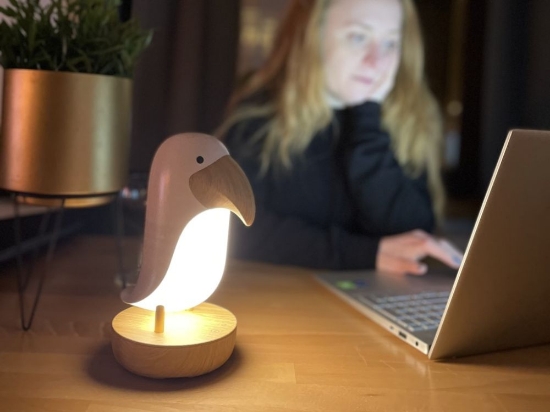 Slika Lampica ptica s ugrađenim zvučnikom