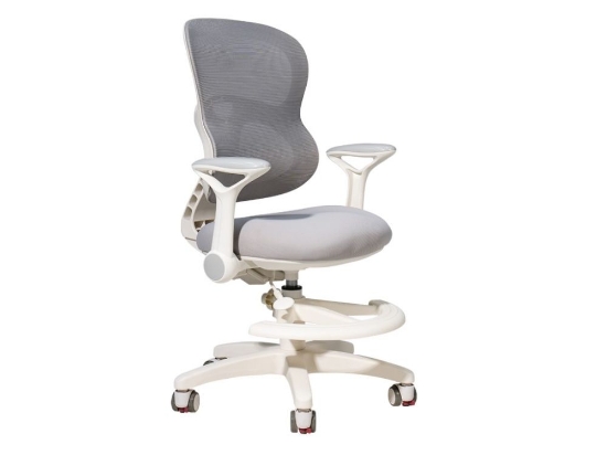 Slika Ergonomska dječja stolica eliNeli