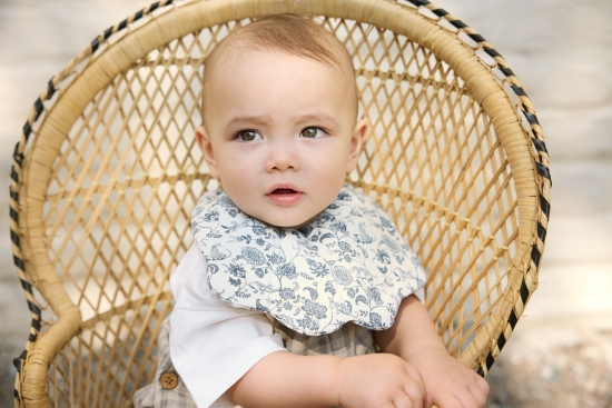 Slika Slinček - Garden Leo Toile