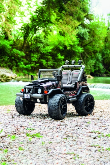 Slika GAUCHO PRO REAL TREE 24V