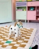 Slika Konjić na uzici, PIPPI - Kid's Concept