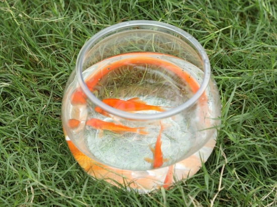 Slika Vanjska kuhinja za djecu Delux