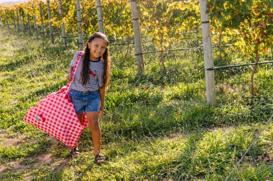 Slika vanjska podloga za igranje i putovanje 2u1 - Picnic - Play&Go