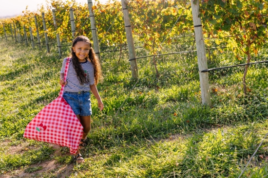 Slika vanjska podloga za igranje i putovanje 2u1 - Picnic - Play&Go