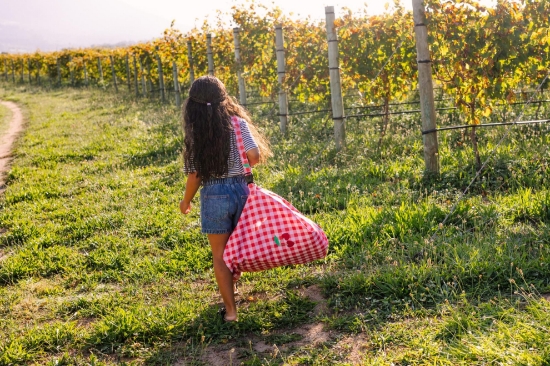 Slika vanjska podloga za igranje i putovanje 2u1 - Picnic - Play&Go