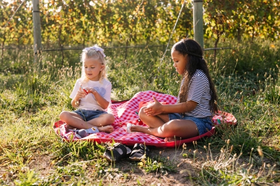 Slika vanjska podloga za igranje i putovanje 2u1 - Picnic - Play&Go