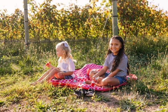 Slika vanjska podloga za igranje i putovanje 2u1 - Picnic - Play&Go