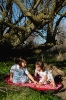 Slika vanjska podloga za igranje i putovanje 2u1 - Picnic - Play&Go