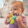 Slika Sassy Flutterby Teether grickalica