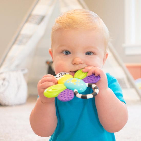 Slika Sassy Flutterby Teether grickalica