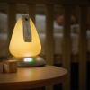 Slika Prijenosna noćna lampa Moonlight PLUS - Shnuggle