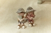 Slika Lutka Ranger Rosa - Little Dutch