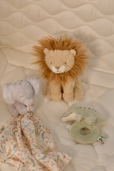 Slika Gift box Safari Friends - Little Dutch