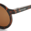 Slika Dječje sunčane naočale Darla Dark Tortoise Shiny 1-3 godine Liewood