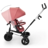 Slika Tricikl Aston 2 Plus, Pink Kinderkraft 
